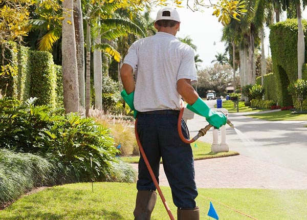 About Belton TX Pest Control Pros